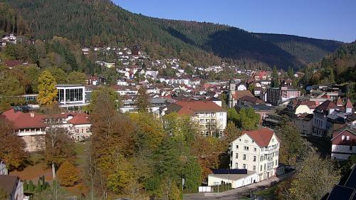 Webcam Bad Wildbad