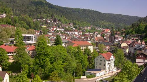 Webcam Bad Wildbad