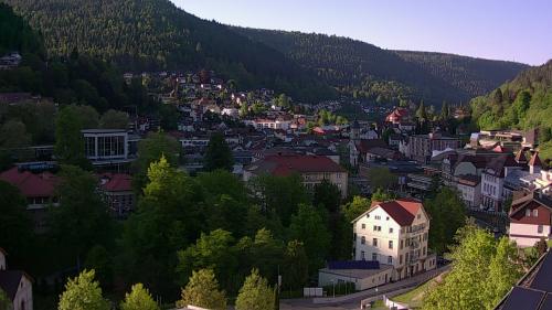 Webcam Bad Wildbad
