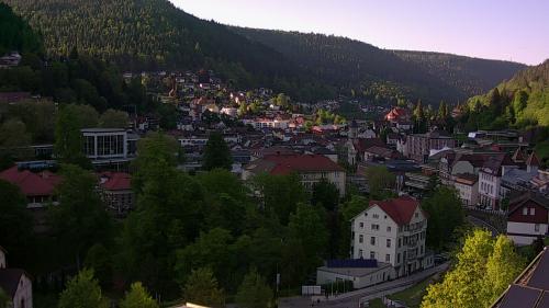 Webcam Bad Wildbad