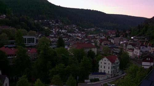 Webcam Bad Wildbad