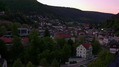 Webcam Bad Wildbad