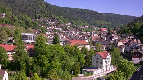 Webcam Bad Wildbad