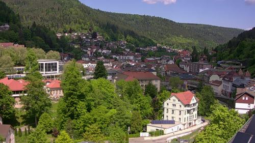 Webcam Bad Wildbad
