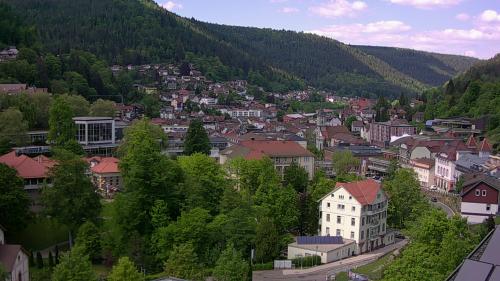 Webcam Bad Wildbad