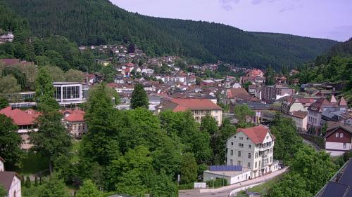 Webcam Bad Wildbad