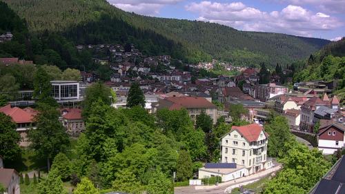Webcam Bad Wildbad