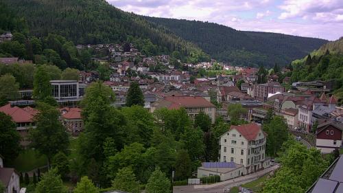 Webcam Bad Wildbad