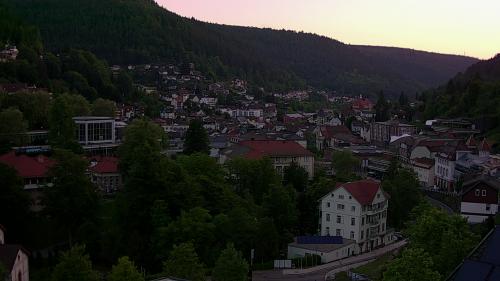 Webcam Bad Wildbad
