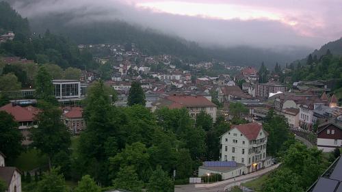 Webcam Bad Wildbad