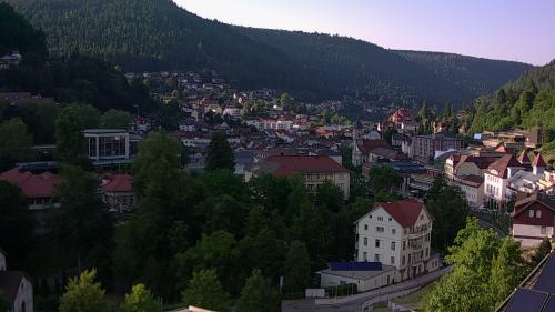 Webcam Bad Wildbad
