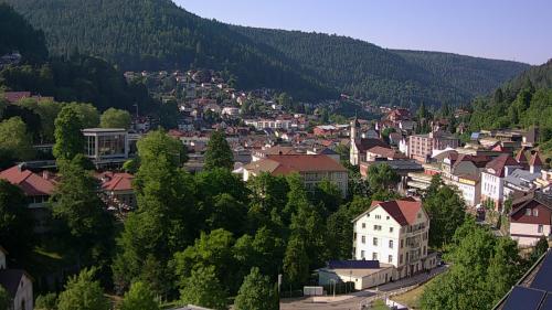 Webcam Bad Wildbad