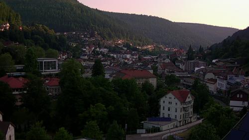 Webcam Bad Wildbad