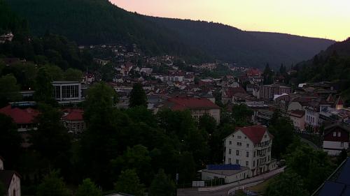 Webcam Bad Wildbad