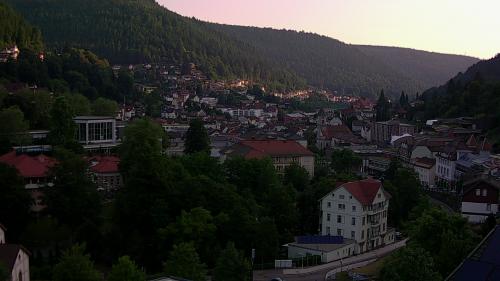 Webcam Bad Wildbad