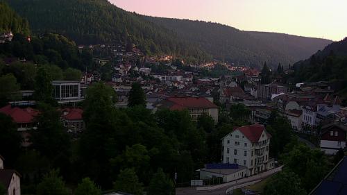 Webcam Bad Wildbad