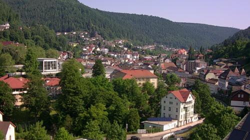 Webcam Bad Wildbad