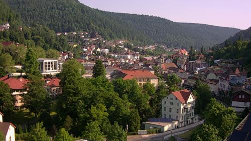 Webcam Bad Wildbad