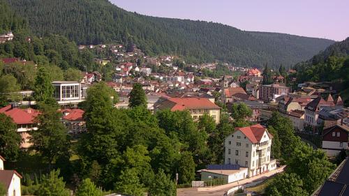 Webcam Bad Wildbad