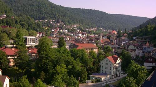 Webcam Bad Wildbad