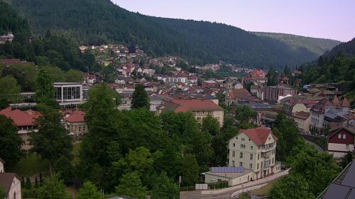 Webcam Bad Wildbad
