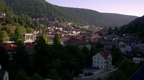 Webcam Bad Wildbad