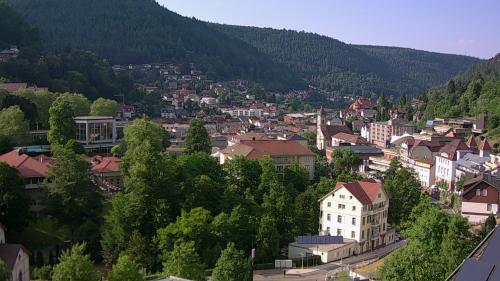 Webcam Bad Wildbad