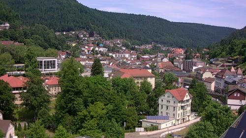 Webcam Bad Wildbad