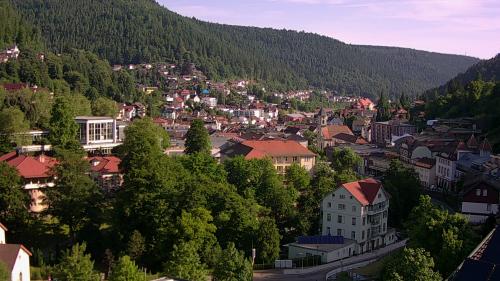 Webcam Bad Wildbad