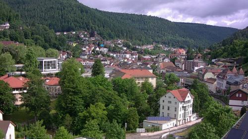 Webcam Bad Wildbad