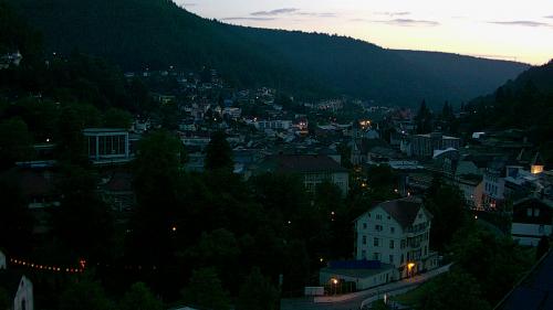 Webcam Bad Wildbad