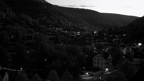 Webcam Bad Wildbad