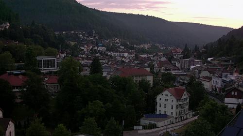 Webcam Bad Wildbad