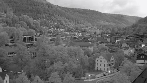 Webcam Bad Wildbad