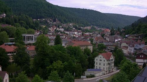 Webcam Bad Wildbad
