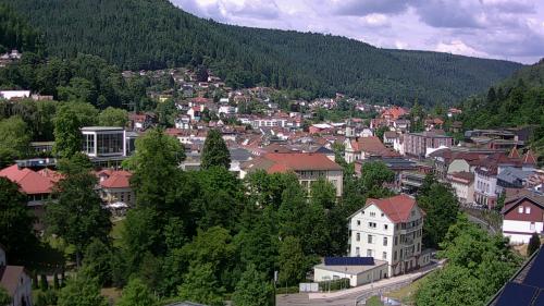 Webcam Bad Wildbad