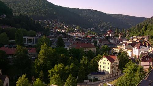 Webcam Bad Wildbad