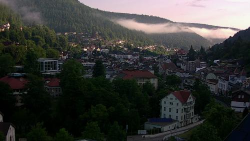 Webcam Bad Wildbad
