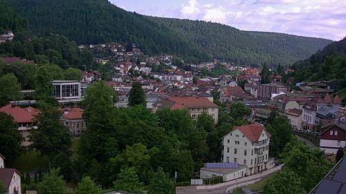 Webcam Bad Wildbad