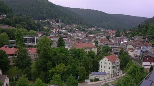 Webcam Bad Wildbad