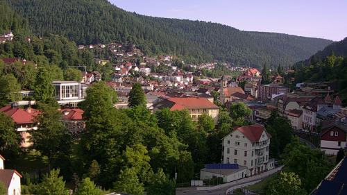 Webcam Bad Wildbad