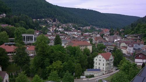 Webcam Bad Wildbad