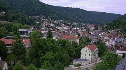 Webcam Bad Wildbad