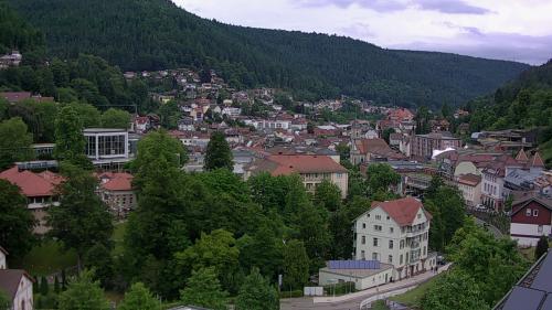 Webcam Bad Wildbad
