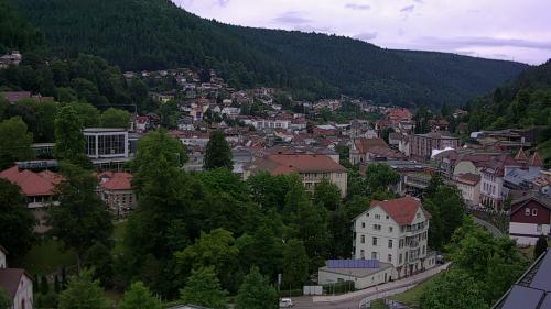 Webcam Bad Wildbad