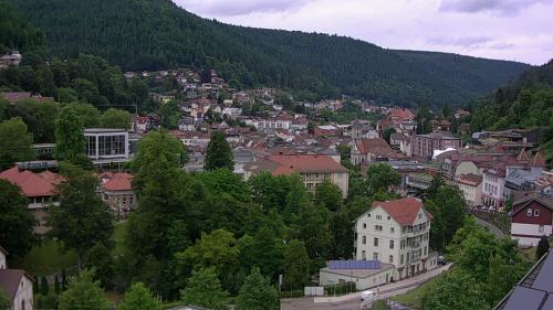 Webcam Bad Wildbad