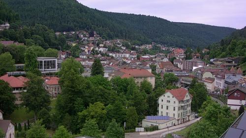 Webcam Bad Wildbad