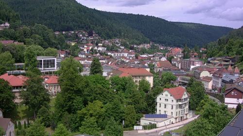 Webcam Bad Wildbad