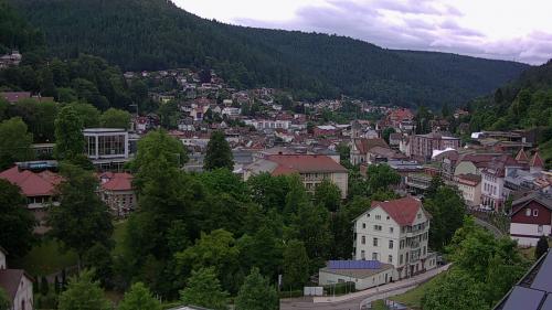 Webcam Bad Wildbad