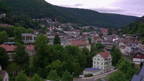 Webcam Bad Wildbad